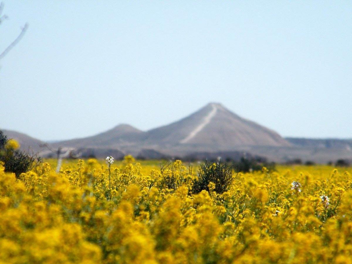 Bed and Breakfast Yvonne'S Hikers Base Sde Boker Midreshet Ben Gurion Exteriér fotografie